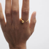 Loop Ring
