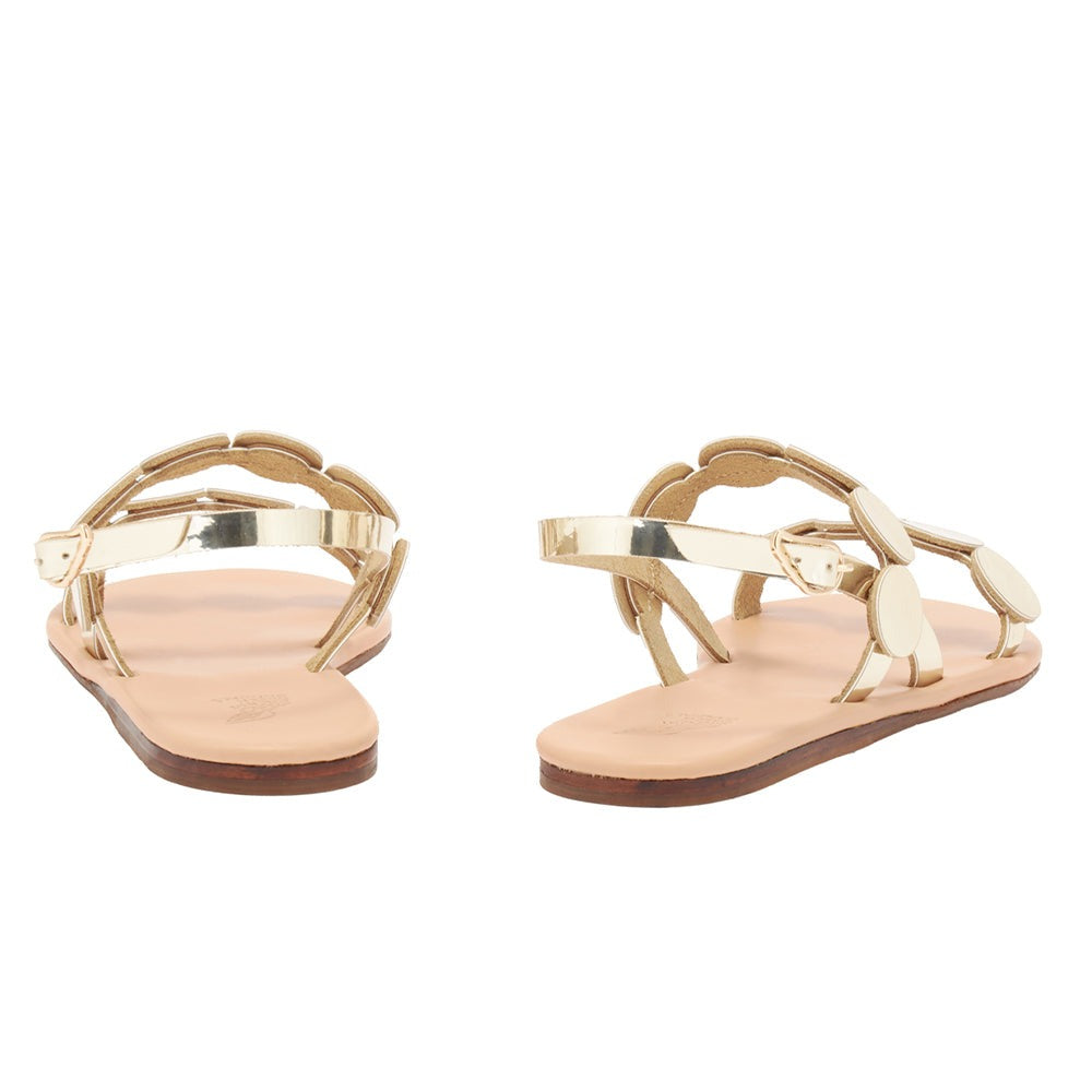 Wheat Titania Gold