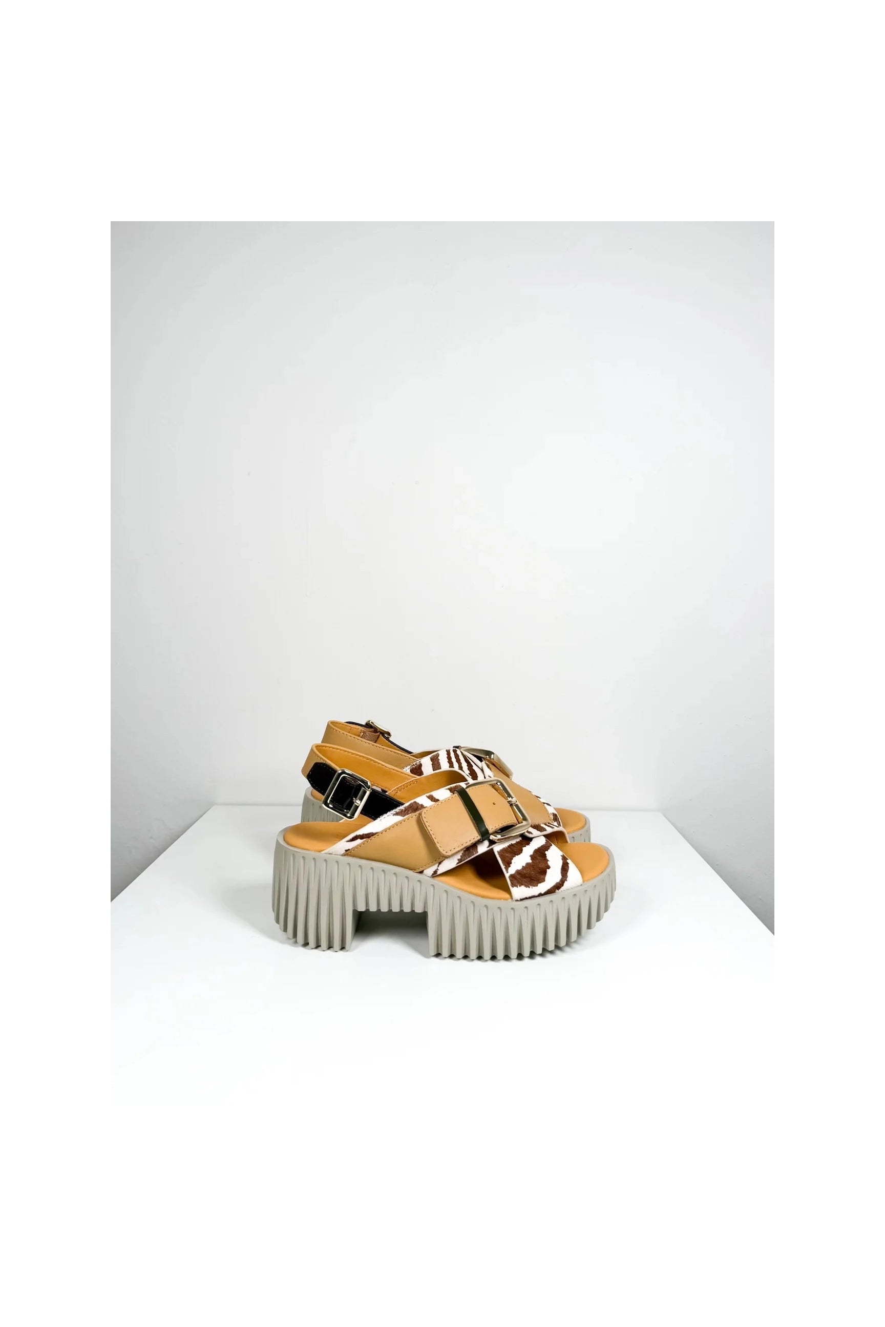 4CCCCEES Plia Juno 4ccccees