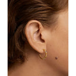 Rosy Brown PDPAOLA Rainbow Hoops