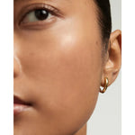 Rosy Brown PDPAOLA Duke Hoops