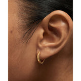 Sienna PDPAOLA Duke Hoops