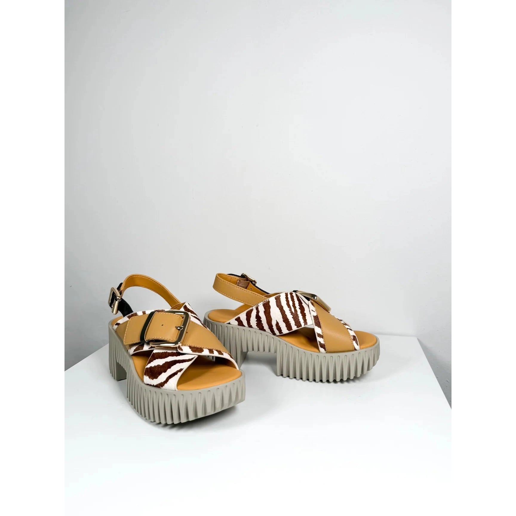 4CCCCEES Plia Juno 4ccccees