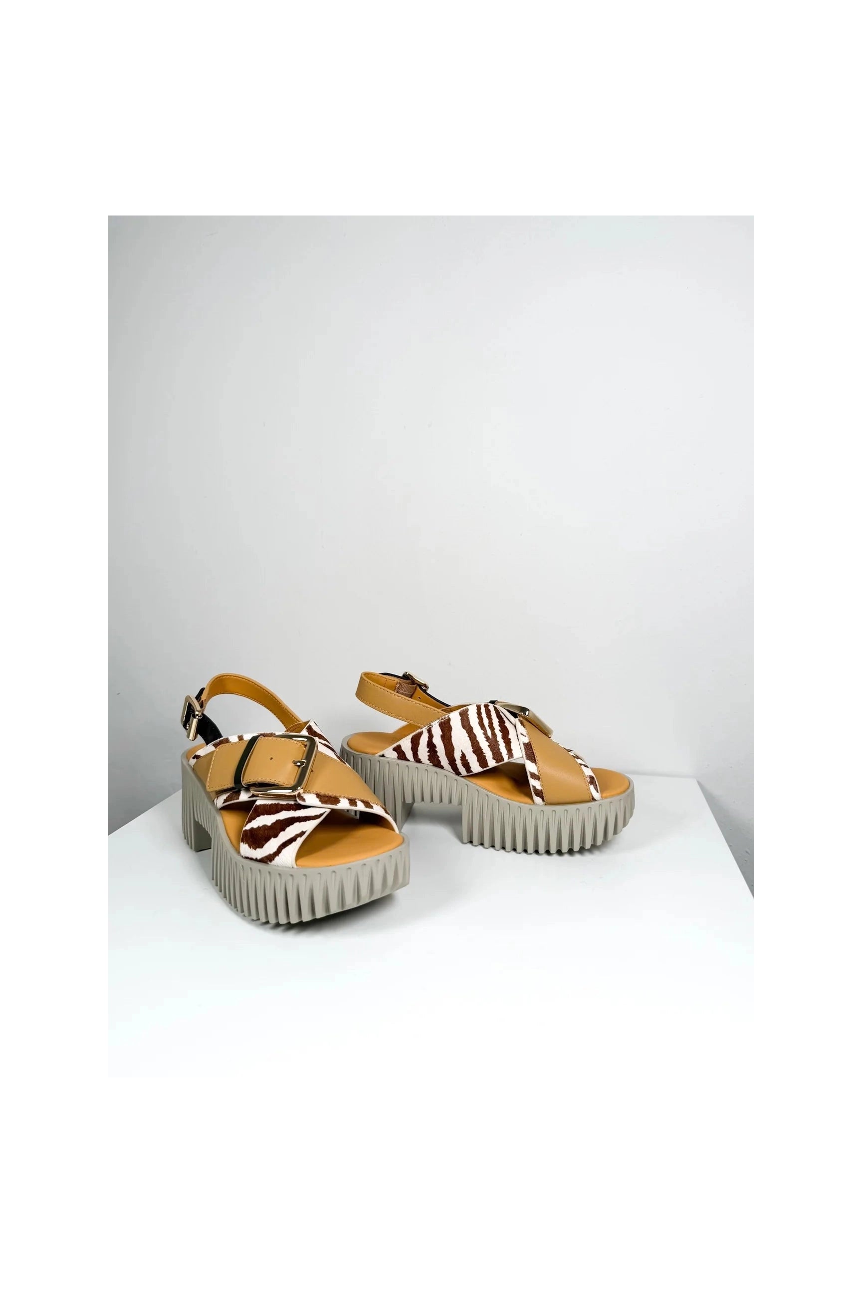 4CCCCEES Plia Juno 4ccccees