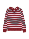 The Cotton Knit Stripe V-Neck Sweater DONNI.