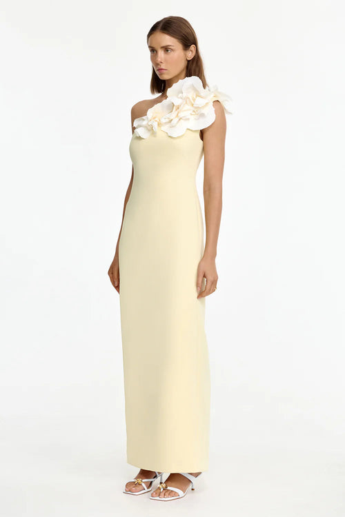 Zofia Maxi Dress Acler