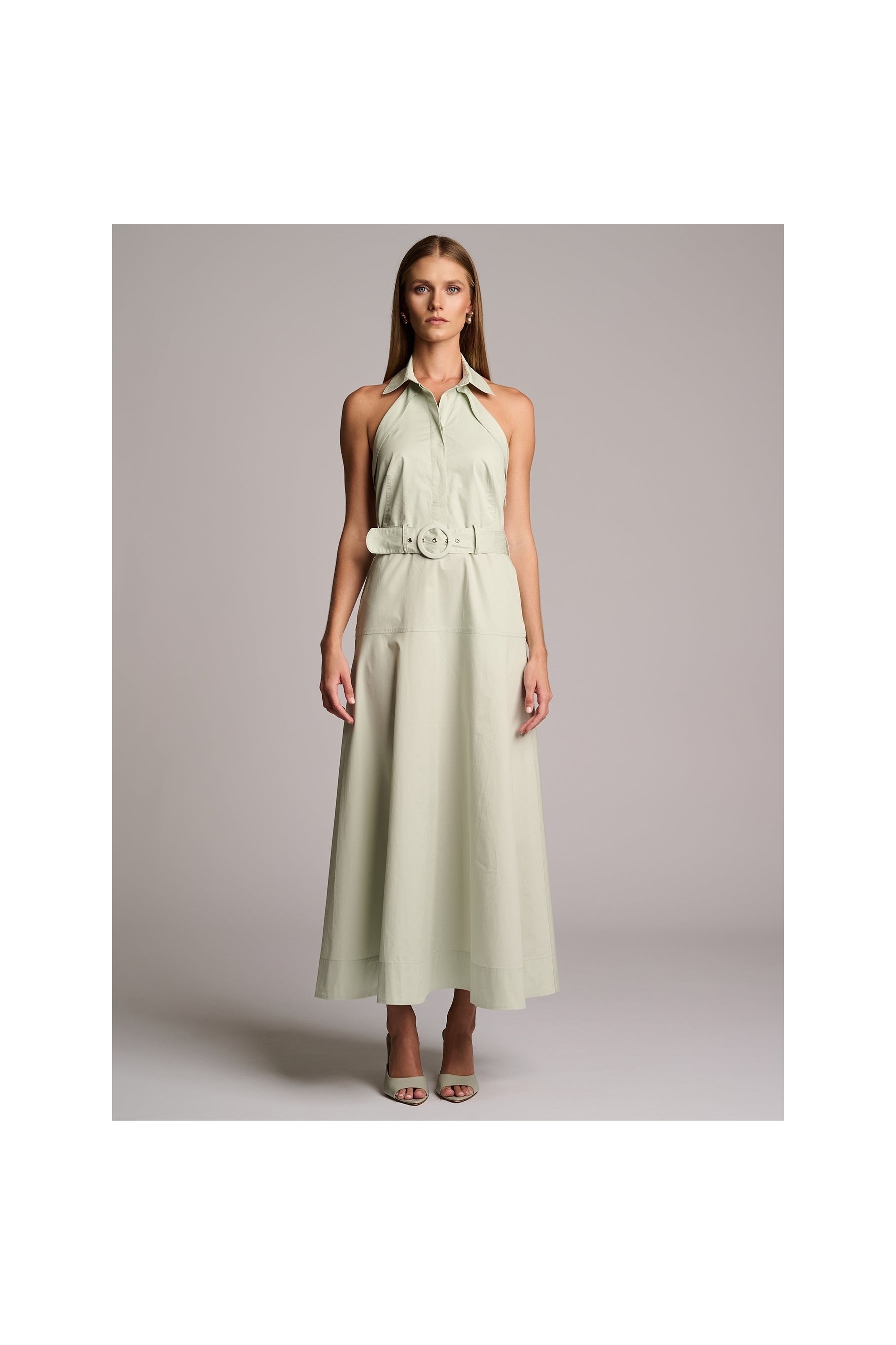 ELOISE DRESS  - PISTACHIO HEVRON