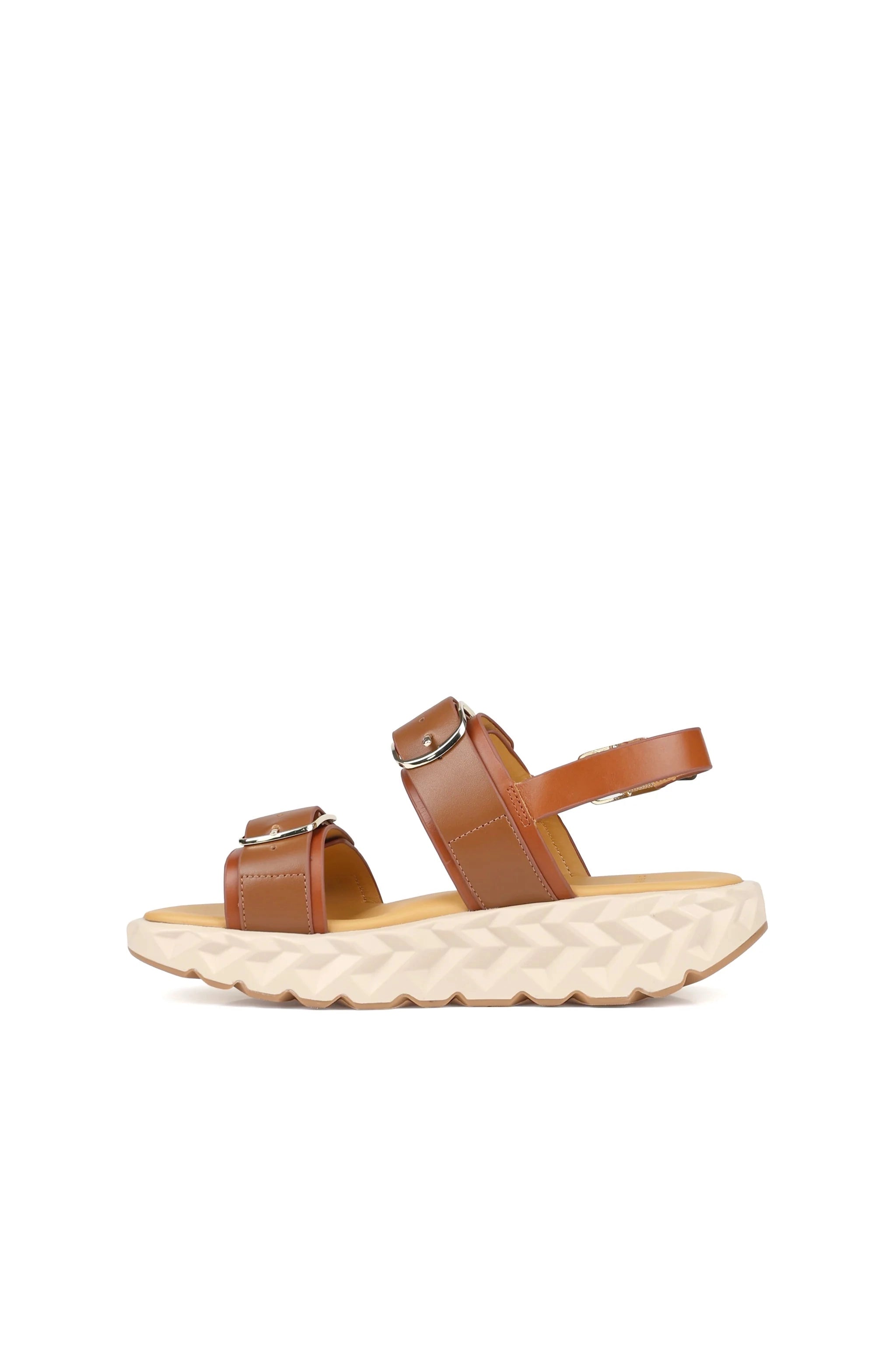 Jabara Sandy 4ccccees