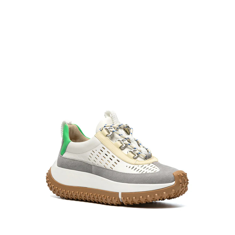 Kapok Linto 4ccccees