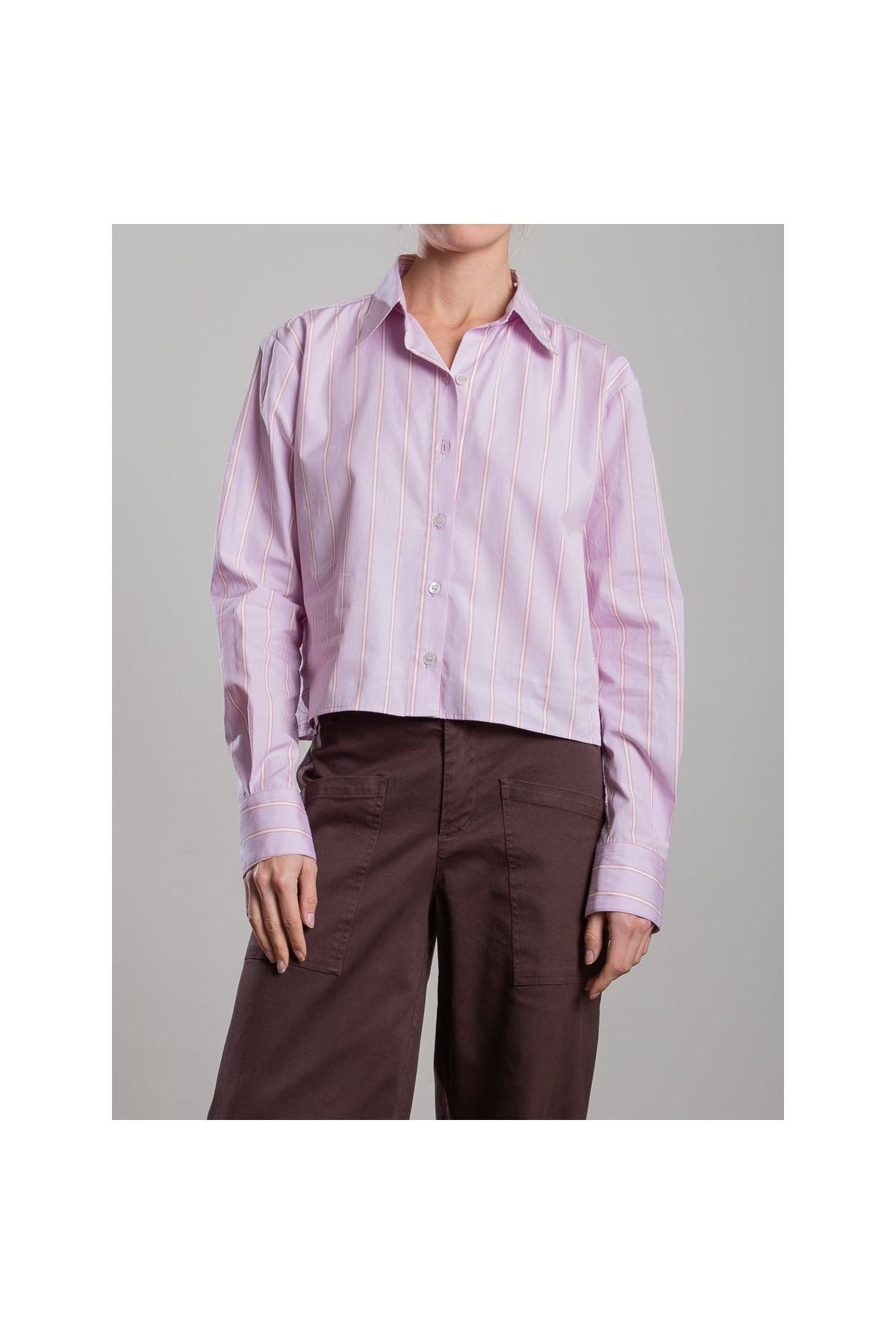 Enzo Shirt in Japanese Stripe Pharaoh