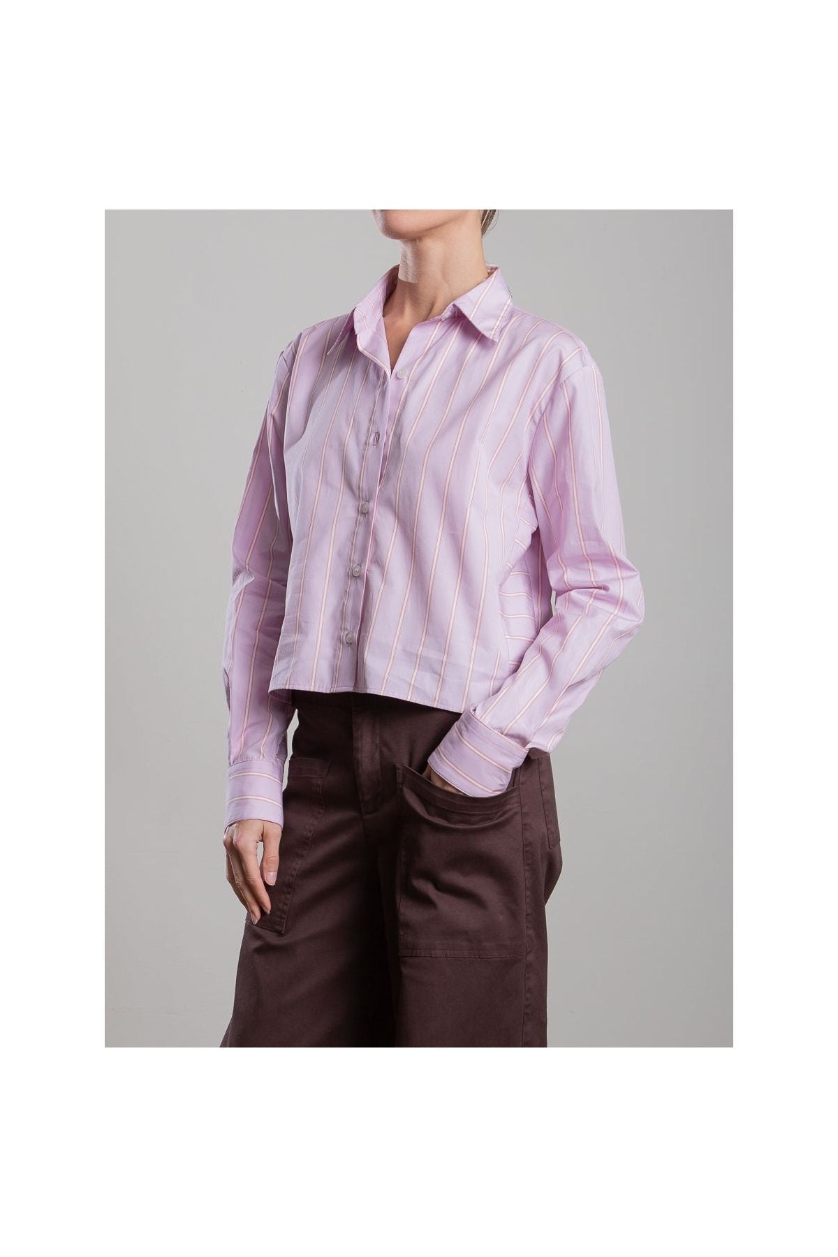 Enzo Shirt in Japanese Stripe Pharaoh