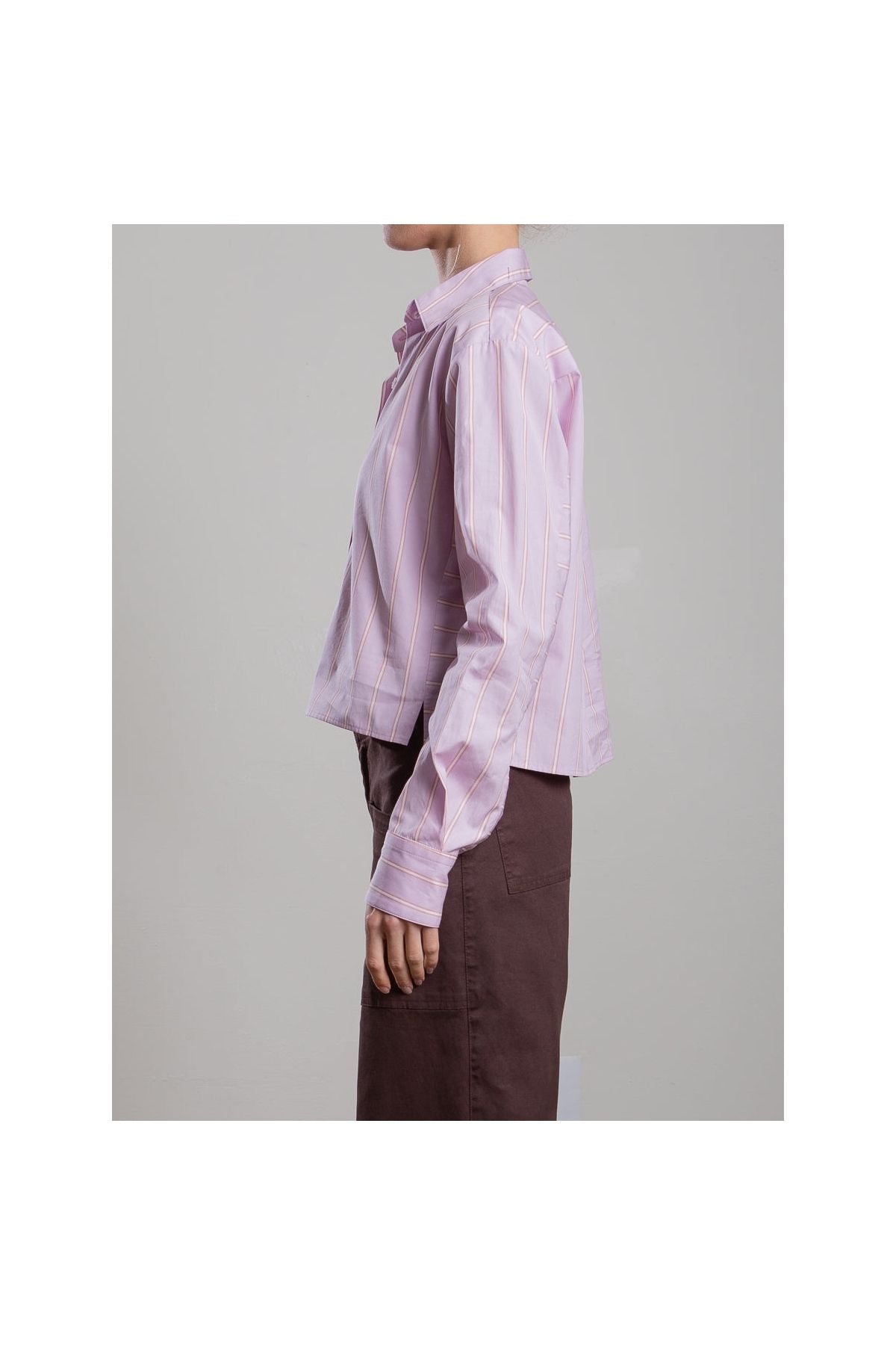 Enzo Shirt in Japanese Stripe Pharaoh