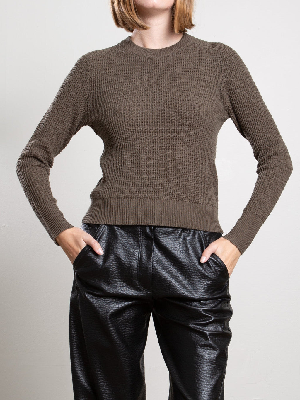 Liam Cotton Crewneck Pharaoh