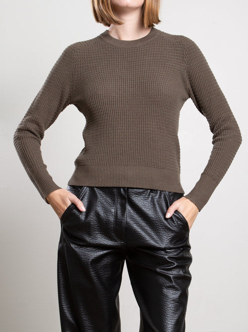 Liam Cotton Crewneck Pharaoh
