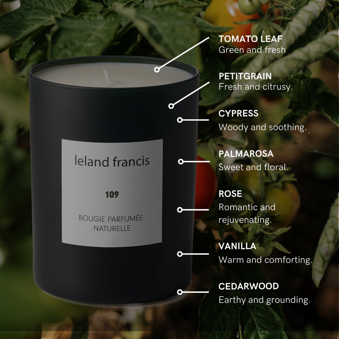 Bougie Parfumee Candle 109 Serene Garden with Tomatoes and Roses Leland Frances