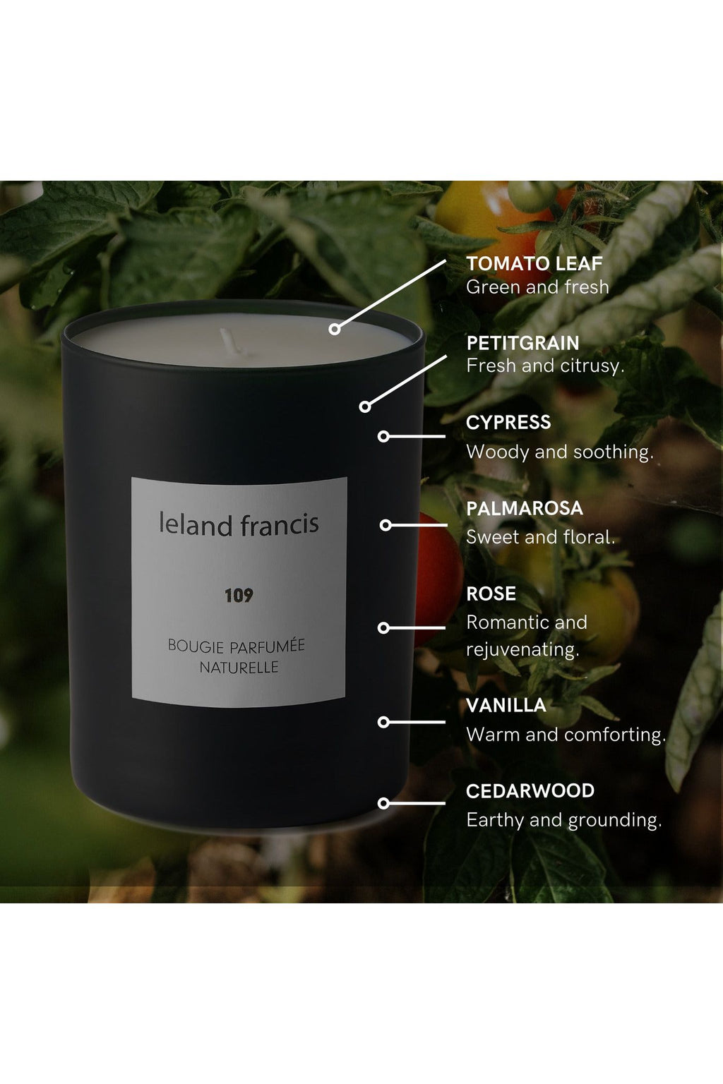 Bougie Parfumee Candle 109 Serene Garden with Tomatoes and Roses Leland Frances