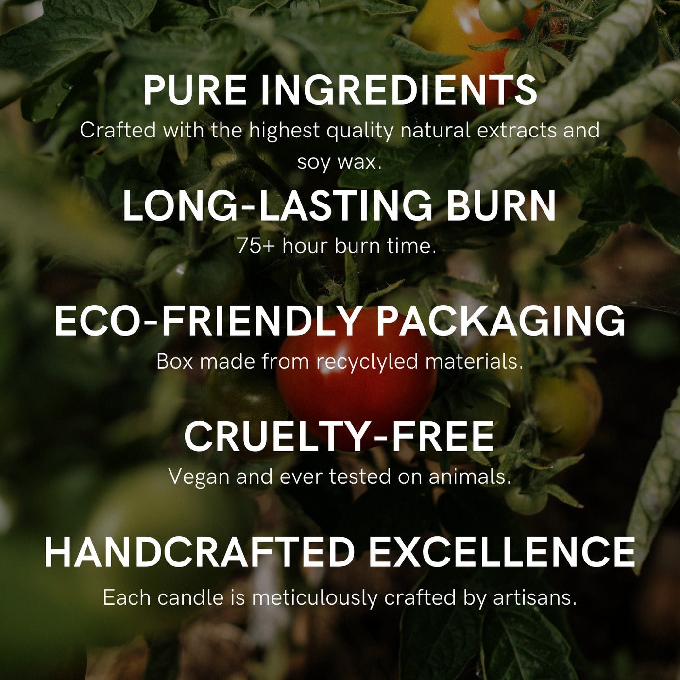 Bougie Parfumee Candle 109 Serene Garden with Tomatoes and Roses Leland Frances