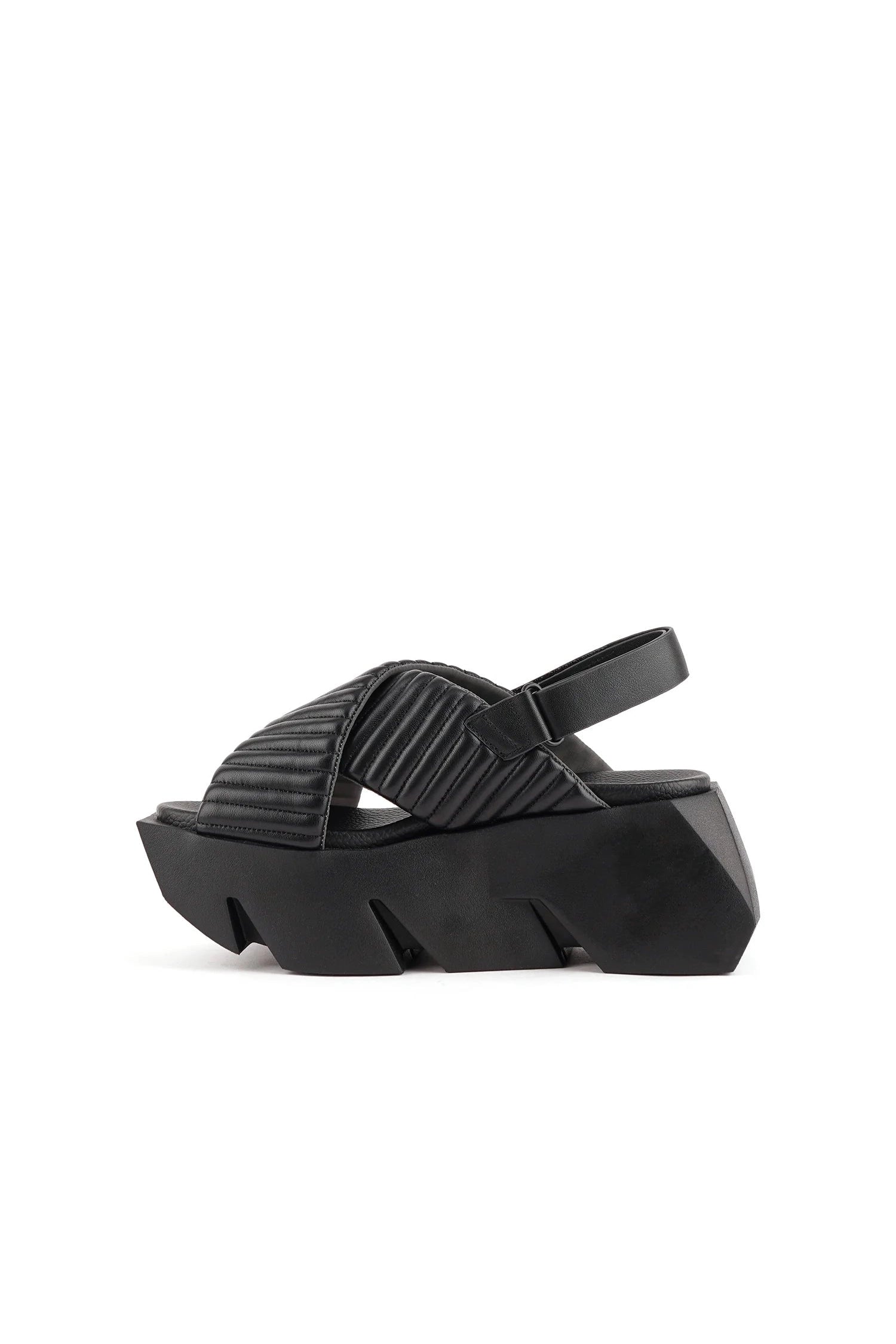 Bull Puffier United Nude