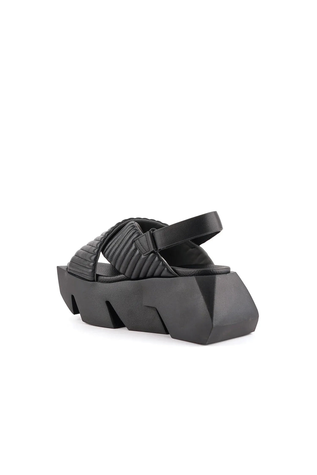 Bull Puffier United Nude