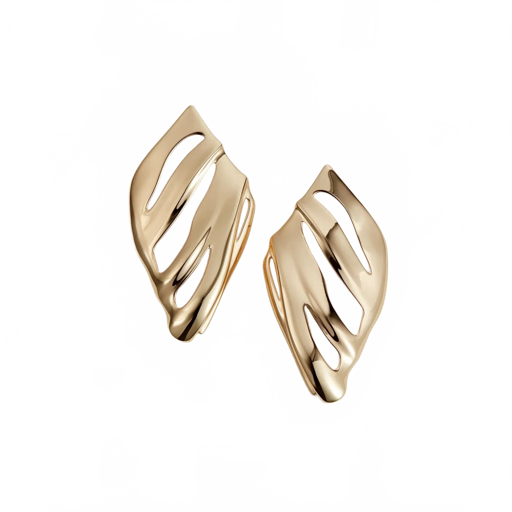 The Kites Jenny Bird