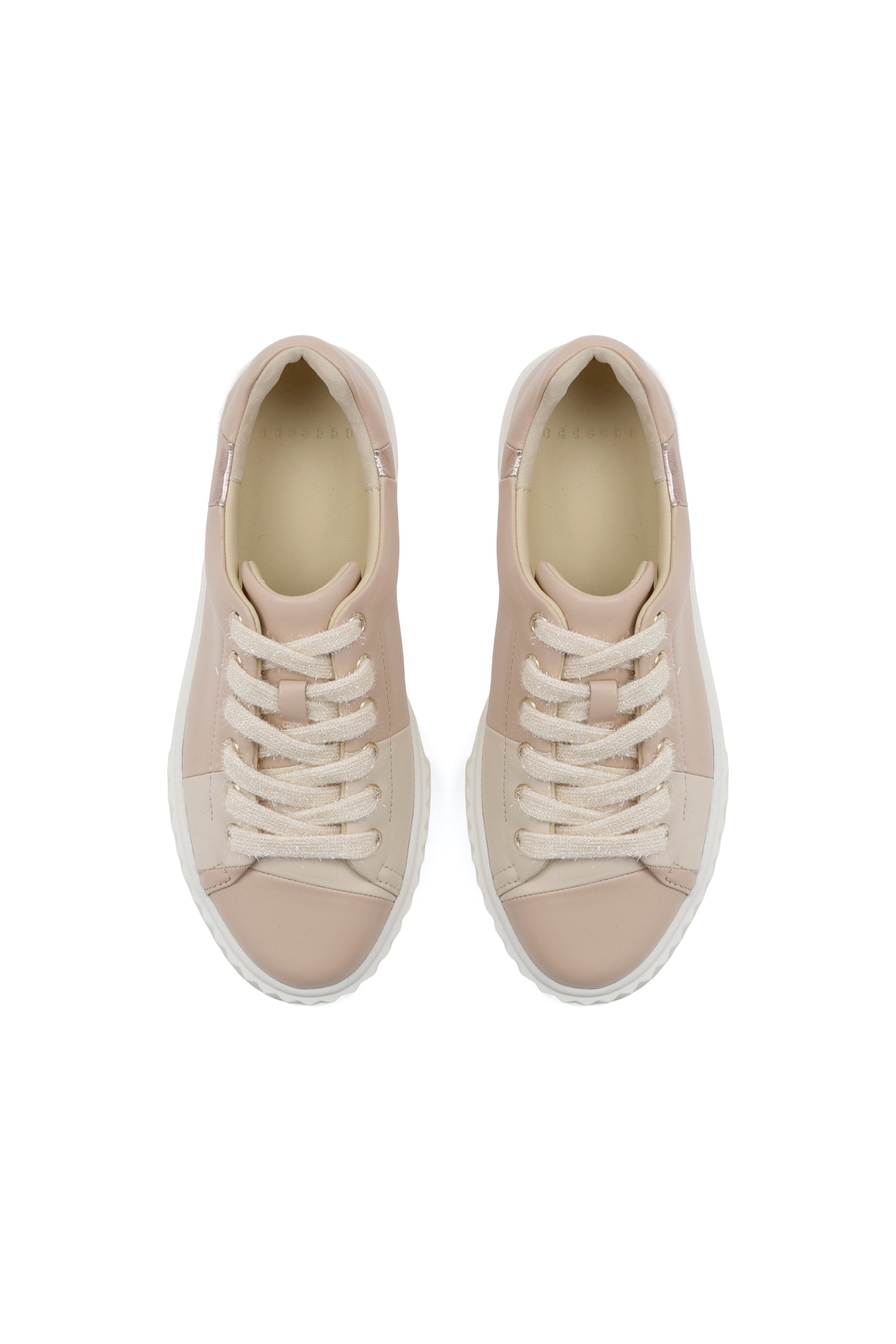 Ray Lami - Primm'sRay Lami4ccccees