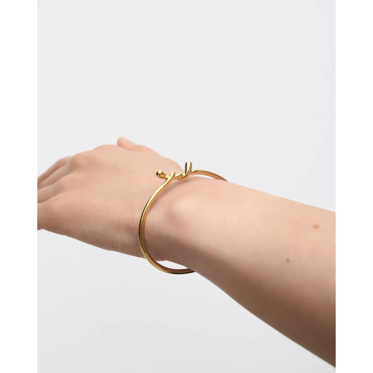 Twist Bangle PDPAOLA